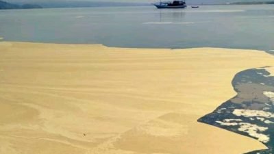Laut bima tercemari zat kimia beracun