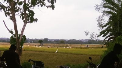 Susana Pemandangan Warkop Paenre Lompoe