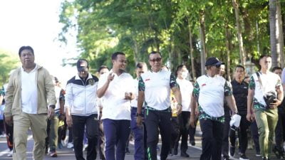 sulsel