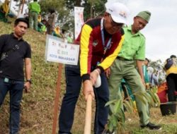 Walikota Danny tanam Pohon Durian Asal Sulawesi di Pulau Sumatera