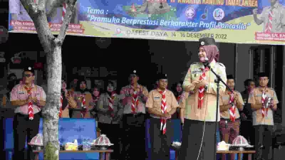 LT II