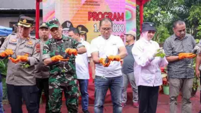 insan.news