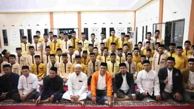 insan.news
