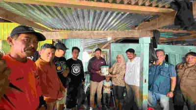 insan.news