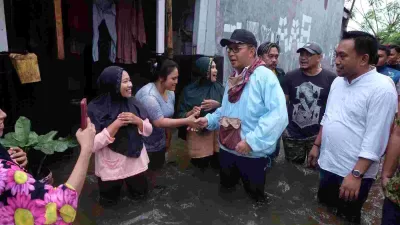 insan.news