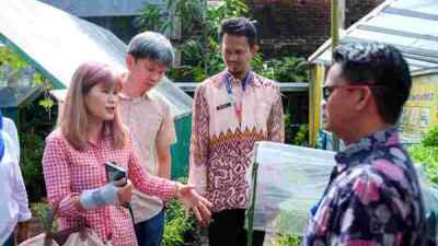 insan.news