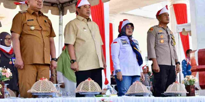 ASN Kota Palopo