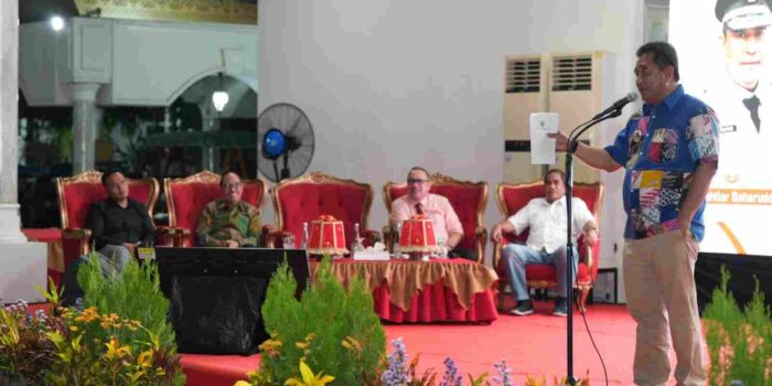 budidaya pisang cavendish