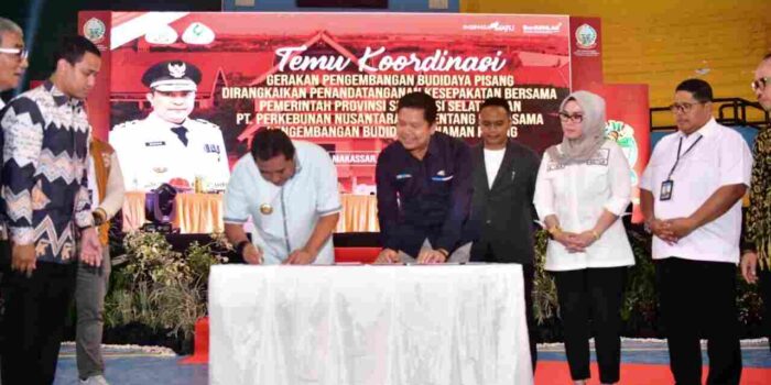 Gerakan Pengembangan Budidaya Pisang