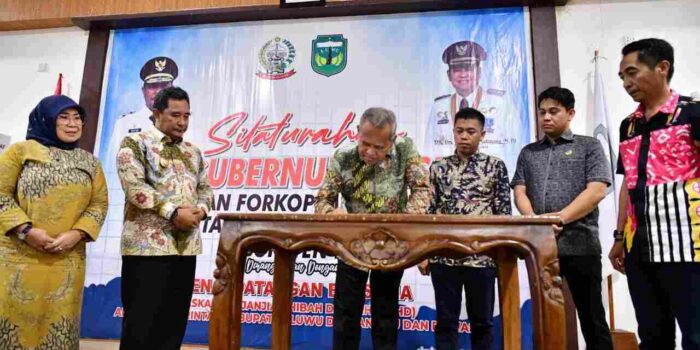 Budidaya Pisang