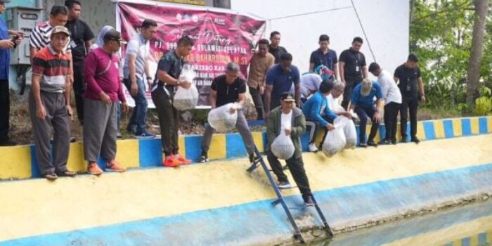 benih ikan nila