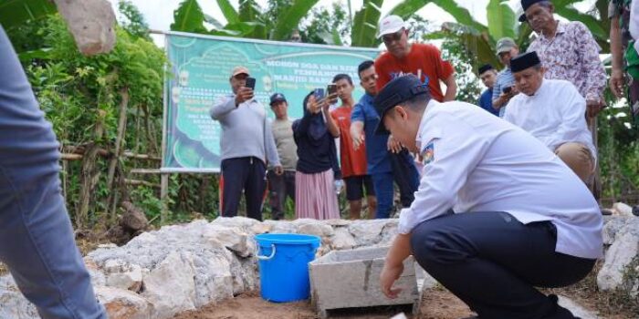 Pribumi co id