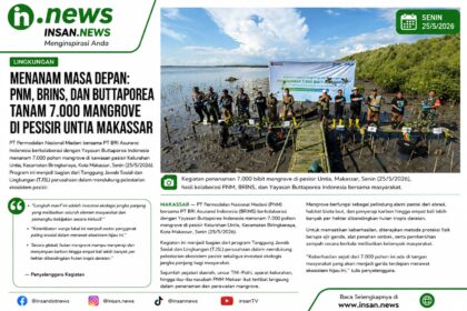 Mangrove