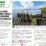 Mangrove