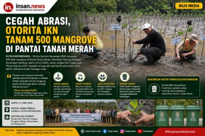 Mangrove