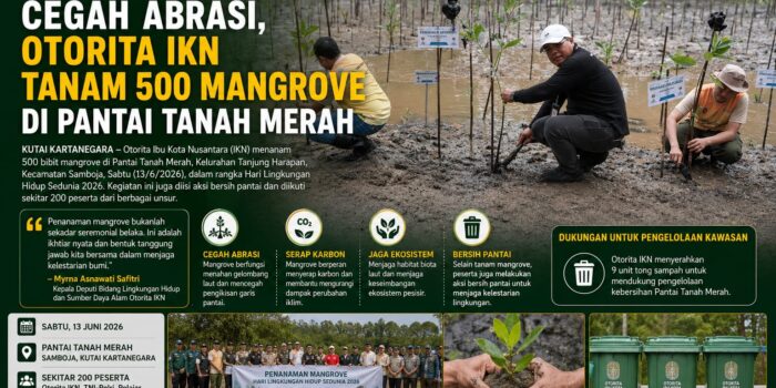 Mangrove
