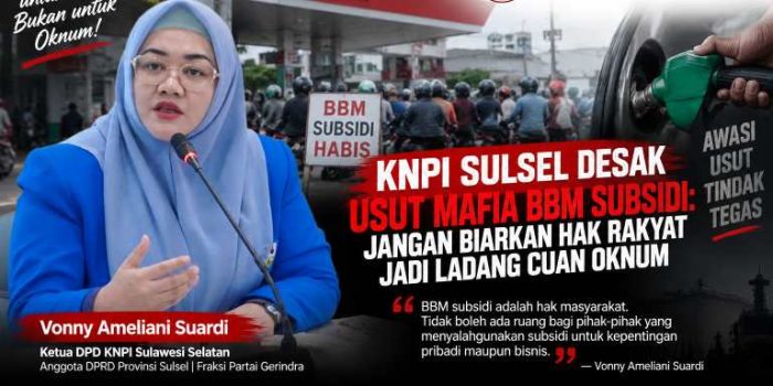 KNPI Sulsel